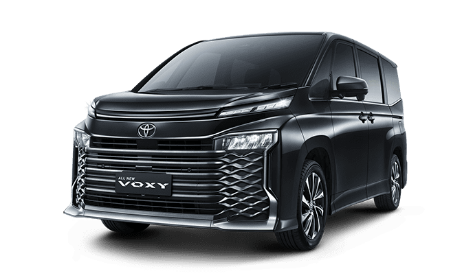 voxy4